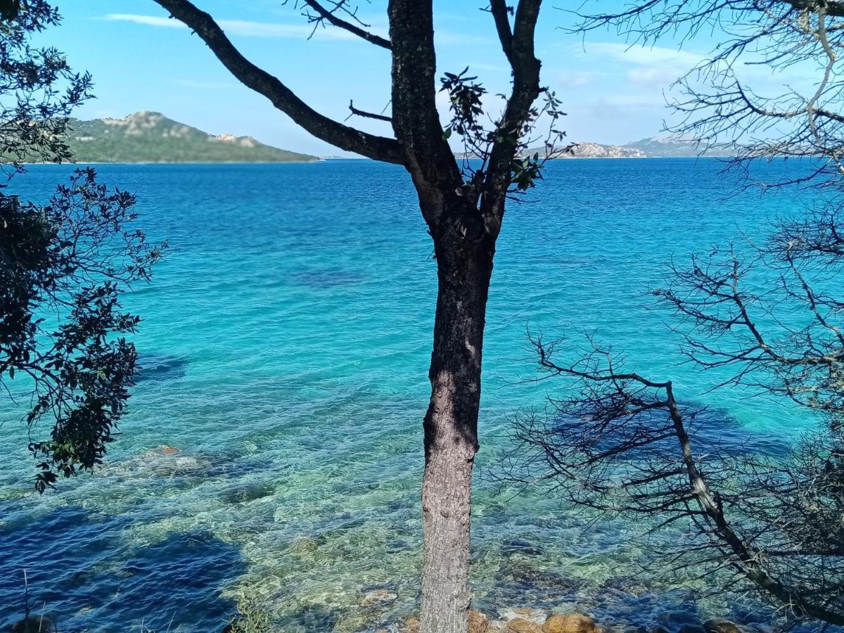 Hotel Pinocchio Arzachena Dış mekan fotoğraf
