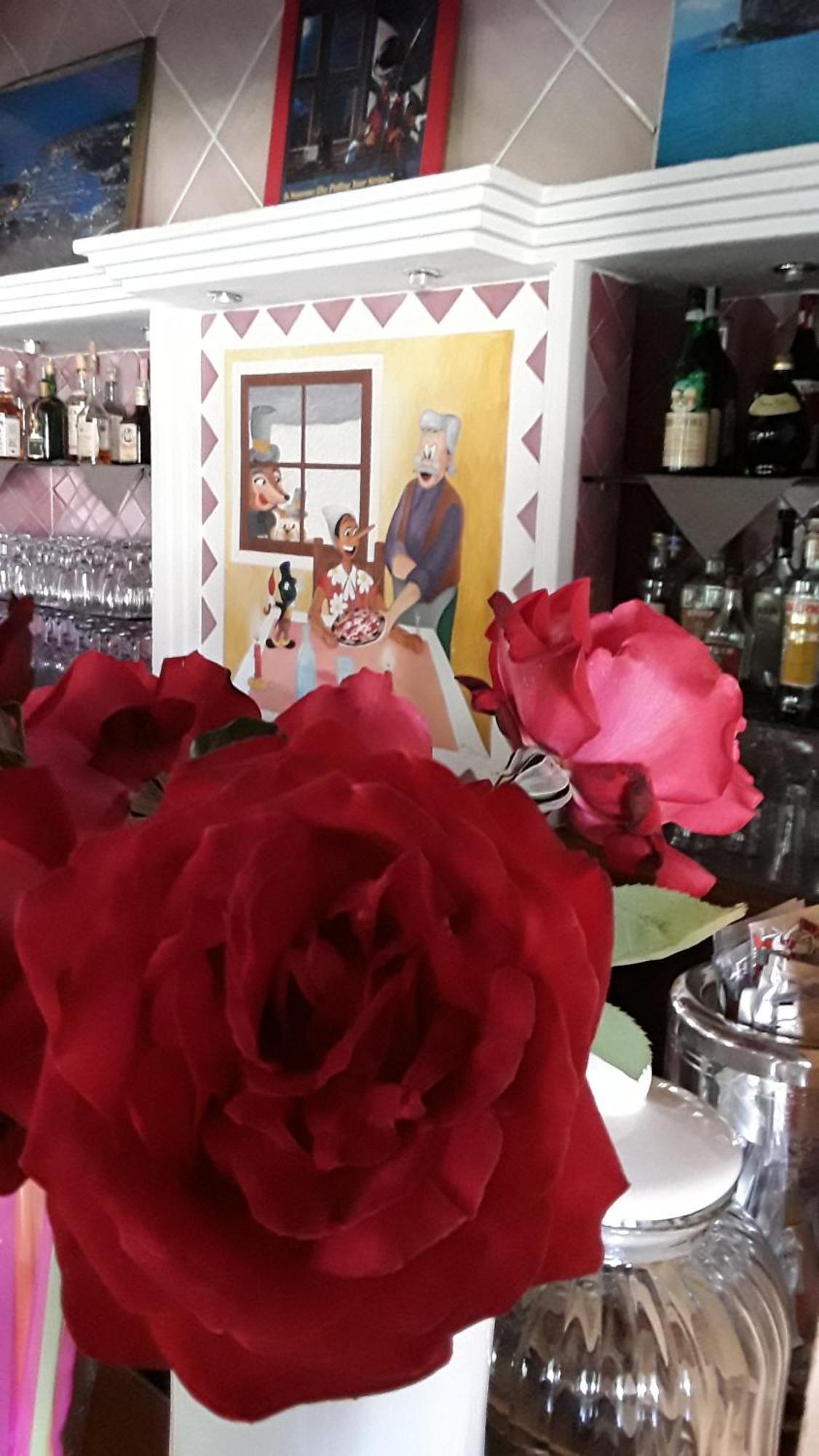 Hotel Pinocchio Arzachena Dış mekan fotoğraf